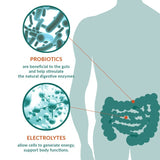 Altaflora Electrolytes Diar-Capsules