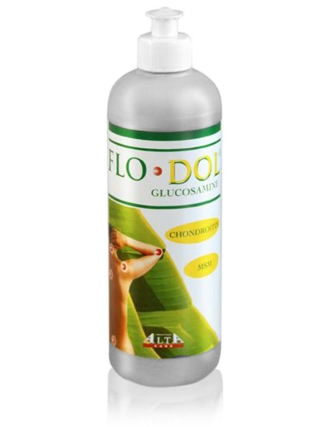 GEL DE GLUCOSAMINA FLODOL